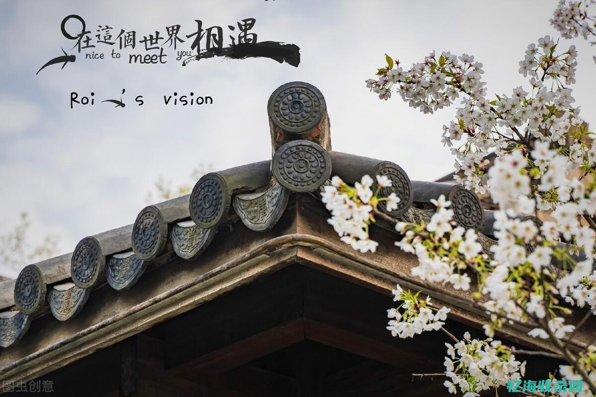 商城网站优化 (购物网站优化)