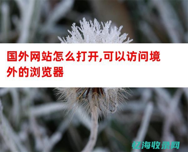 西安seo高手 (西安seo服务公司)
