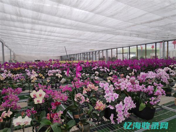 沭阳县别克4s店
