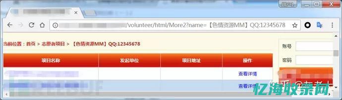黑冒seo从哪里开始学