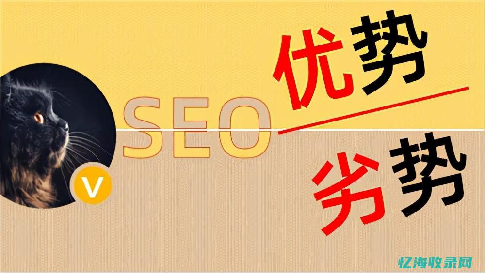 seo的价值包括 (seo的重要性)