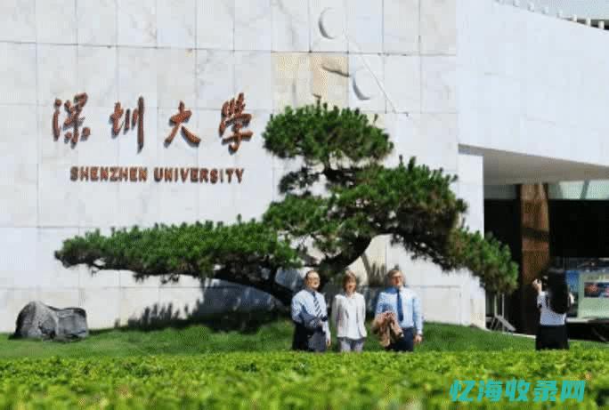 深圳专业seo整站优化公司