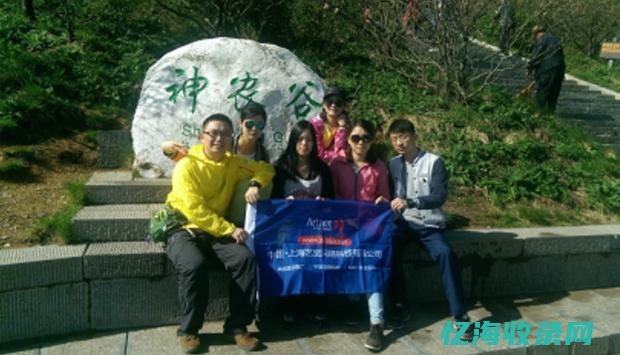 上海找哪家好