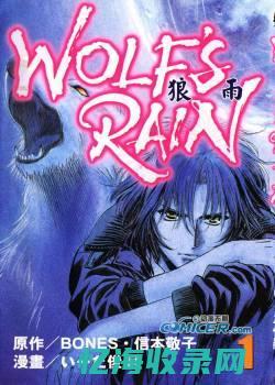 狼雨论坛