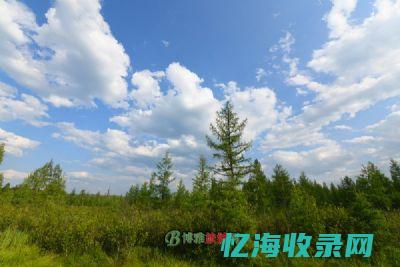 呼市最美公园