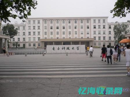 成都专业seo公司 (成都市专业技术在线培训登录)