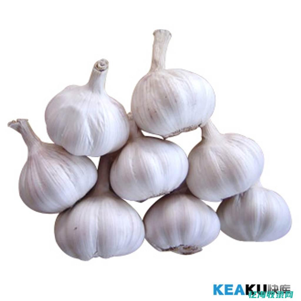 白帽蒜苔是什么蒜长出来的