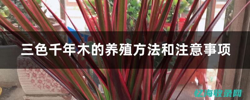 三木seventeen (三木母女时装搭配)