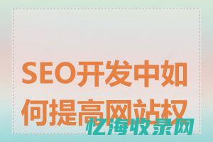 seo开发经验