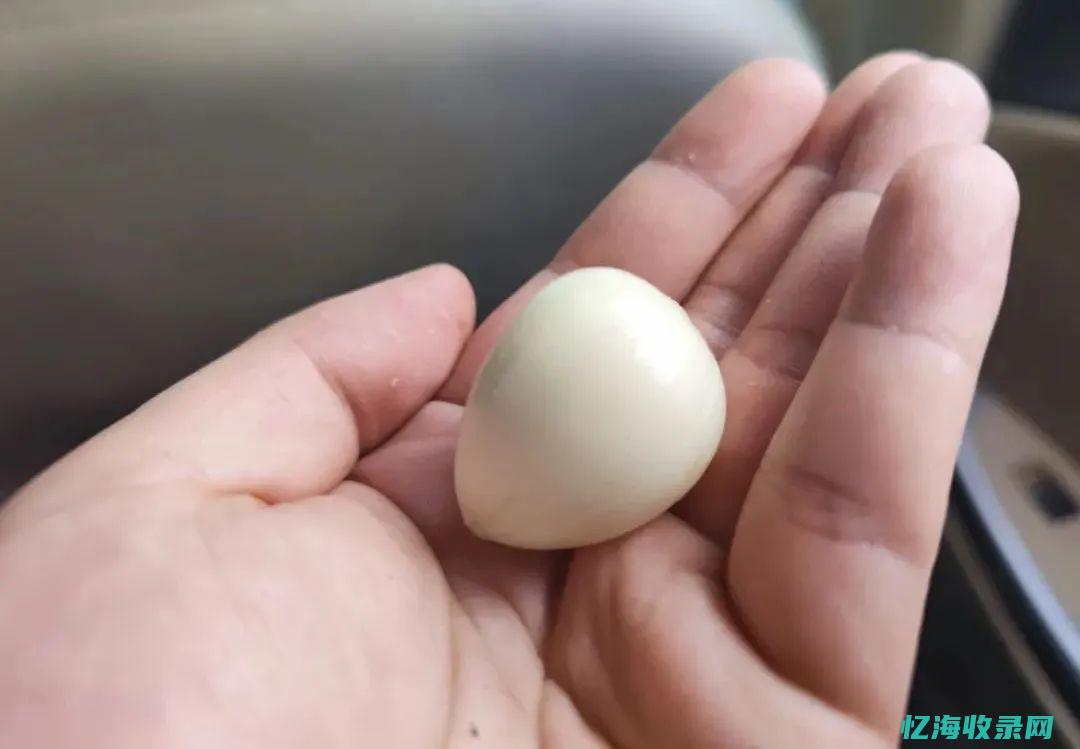 白帽蒜苔是什么意思