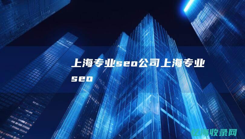 上海专业seo公司 (上海专业seo)