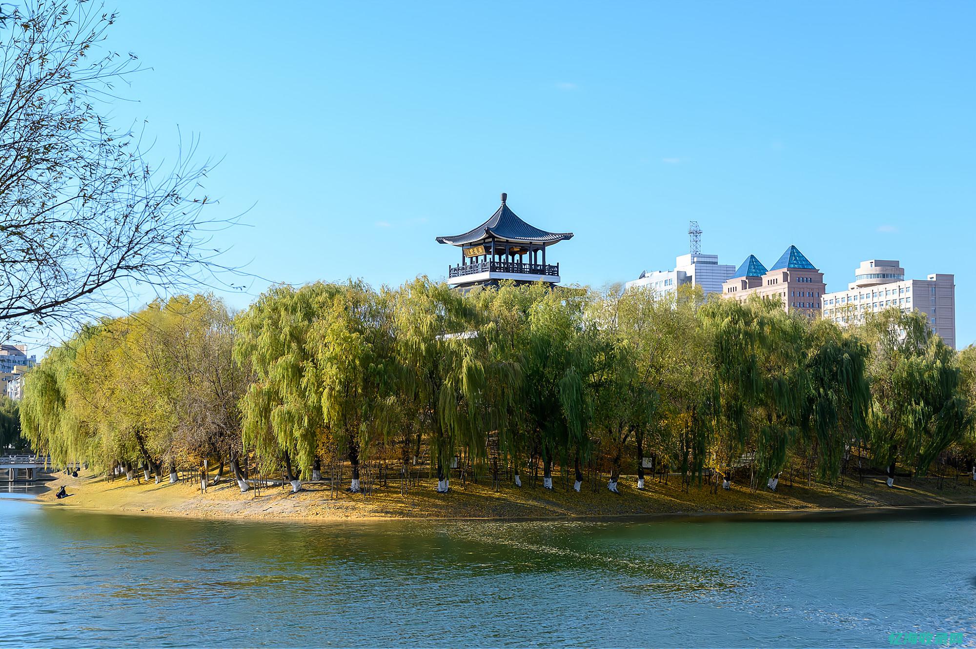 长春的森林公园