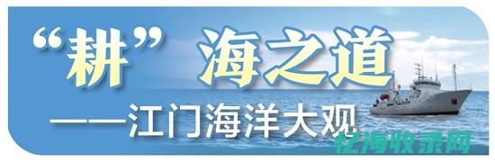 江门本地网站
