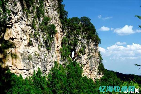 榆次森林