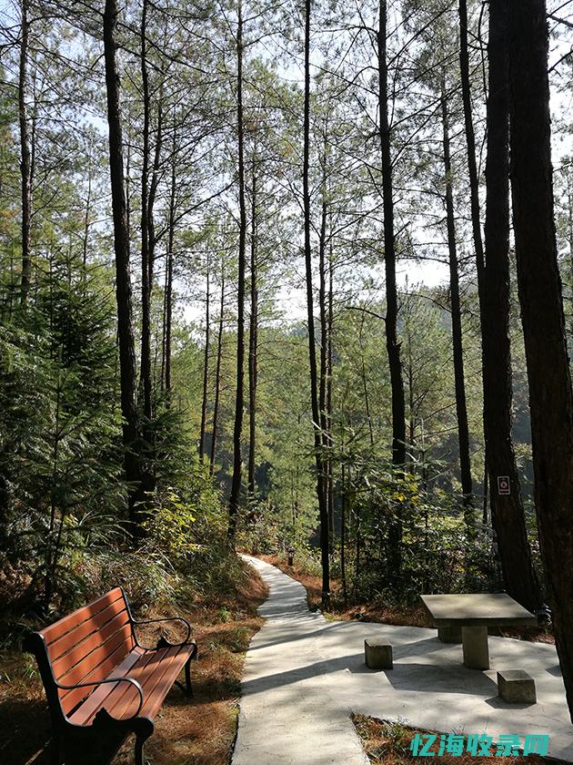 邳州森林景点介绍
