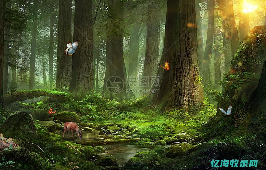 免费制作森林防火宣传视频下载什么软件好 (免费制作森林的软件)