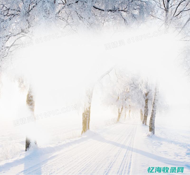 制作森林的软件