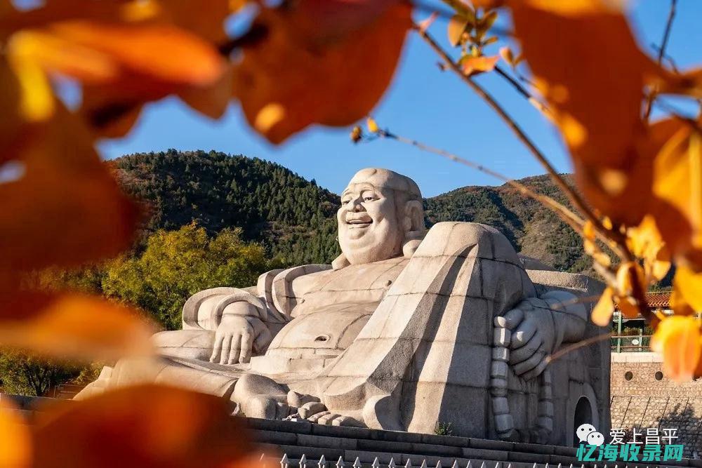 邳州森林公园