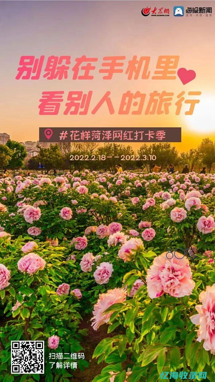 菏泽有哪些网约车