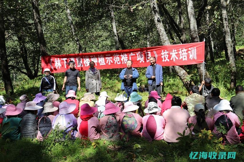 大理网站推广 (大理网络推广公司)