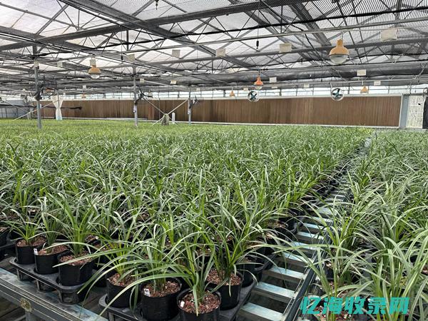 大理网站推广