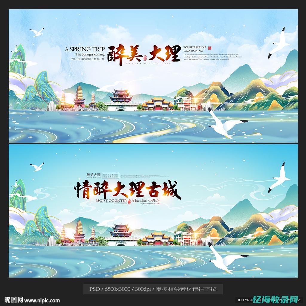 大理seo包年优化服务