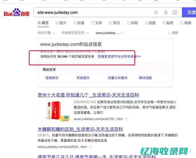 seo最新案例