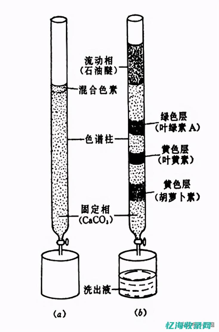 如何选择色谱柱