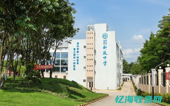 深圳龙华网 (深圳龙华网站建设)