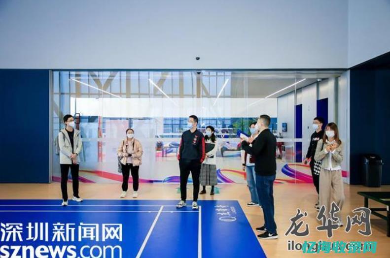 龙华网站开发 (龙华网站开发招聘网)