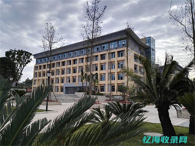 成都专业seo外包