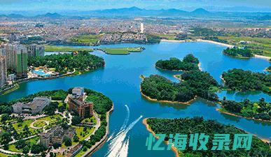 阳江网站建设价位