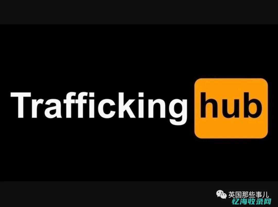 大型网站seo策略 (大型网站seo功能设计)