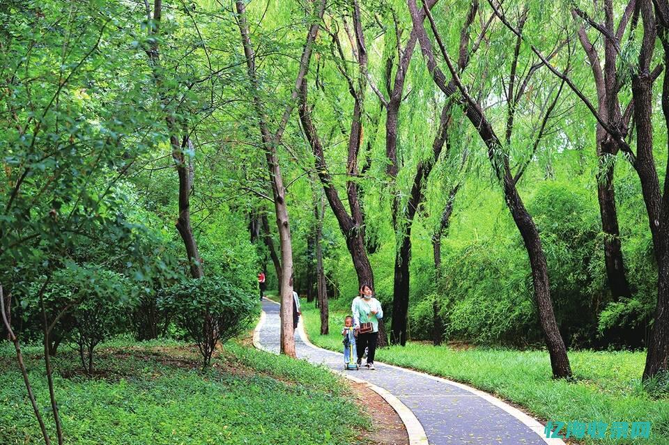 邹城国家湿地公园