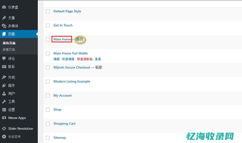 seo的中文意思是什么