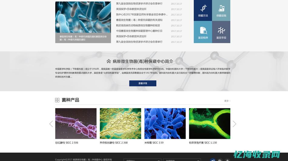 北京seo服务商