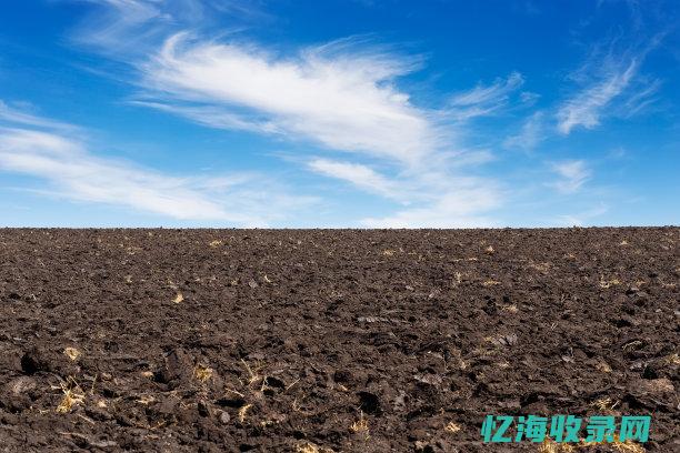 视频最新