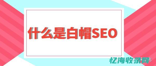 seo技能是什么意思