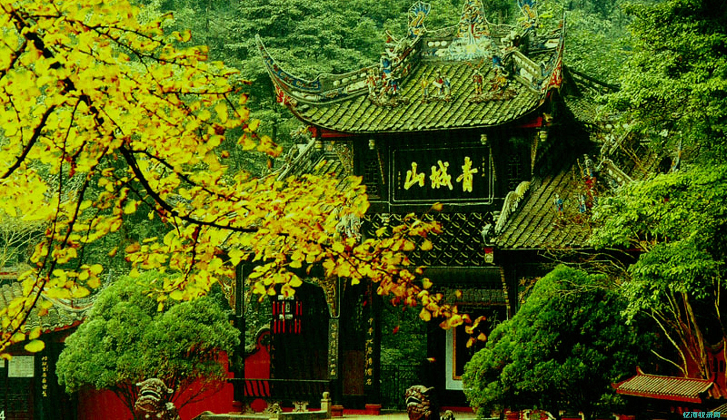 成都最好的神经内科医院排名 (成都神经科最好的医院排名)