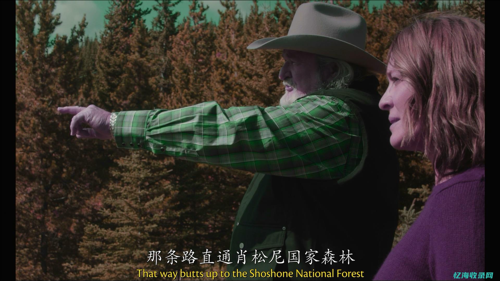 大地视频最新