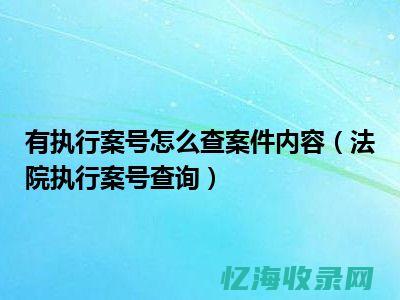 专门做执行案件的律师