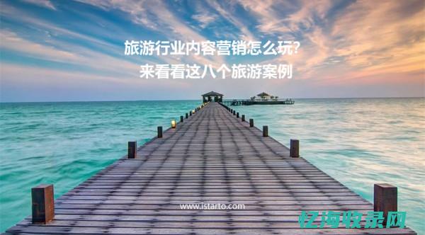 seo成功案例怎么说 (seo成功案例)