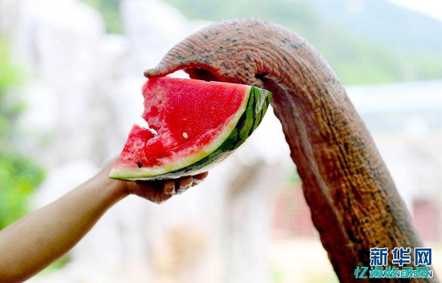 山东青岛森林公园