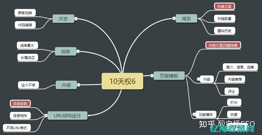 seo案例 (SEO案例标题)
