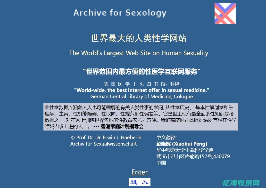 大型网站SEO总监修炼之道 (大型网站设计)