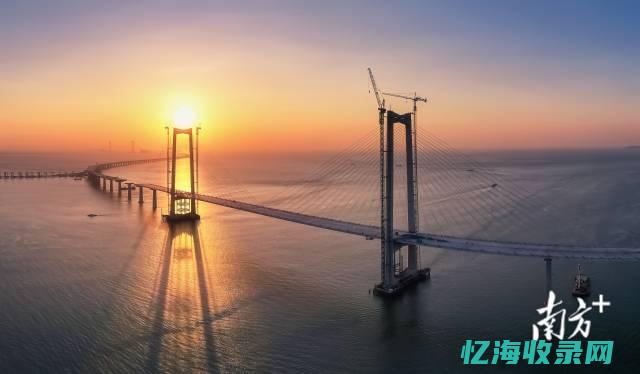 中山网站建设优化