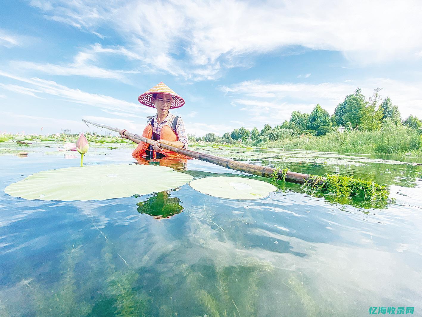 枝江森林公园 (枝江森林公园门票)