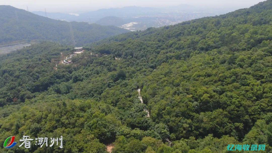 潮汕森林公园图片
