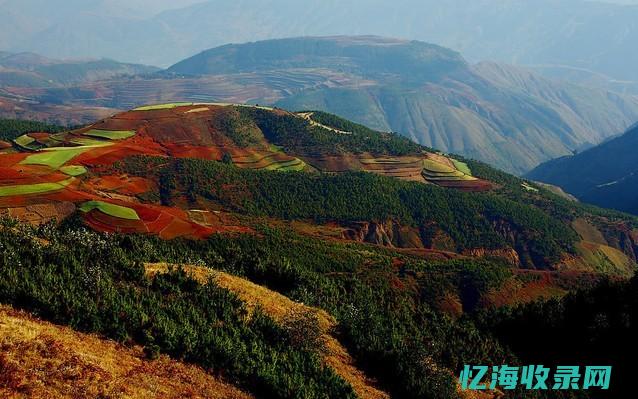 云南网站设计制作公司