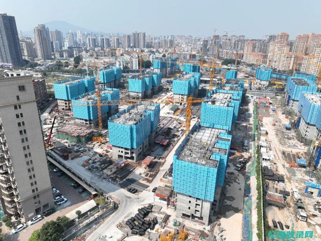 漳州seo技术培训